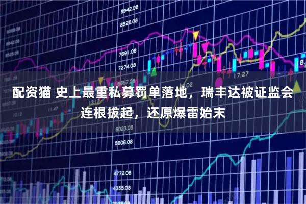 配资猫 史上最重私募罚单落地，瑞丰达被证监会连根拔起，还原爆雷始末